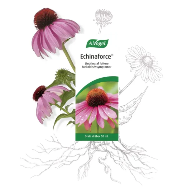Echinaforce - Naturlægemiddel | 50 ml | A. Vogel