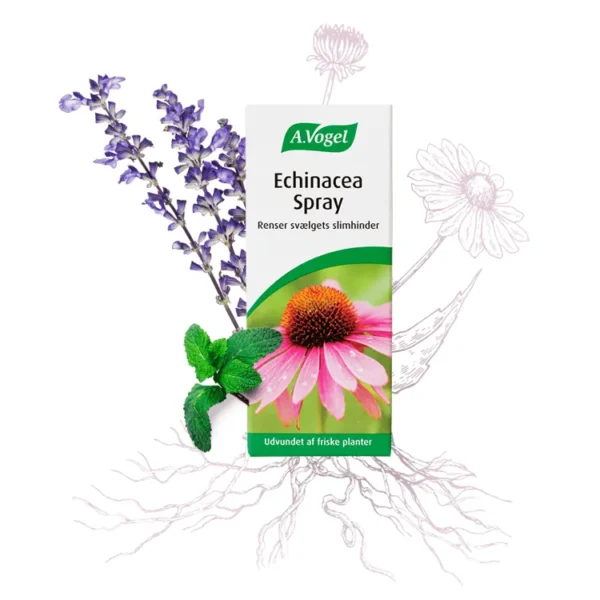 Echinacea spray | 30 ml | A. Vogel