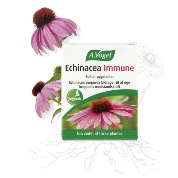 Echinacea Immune vegansk | 30 suge tab | A. Vogel