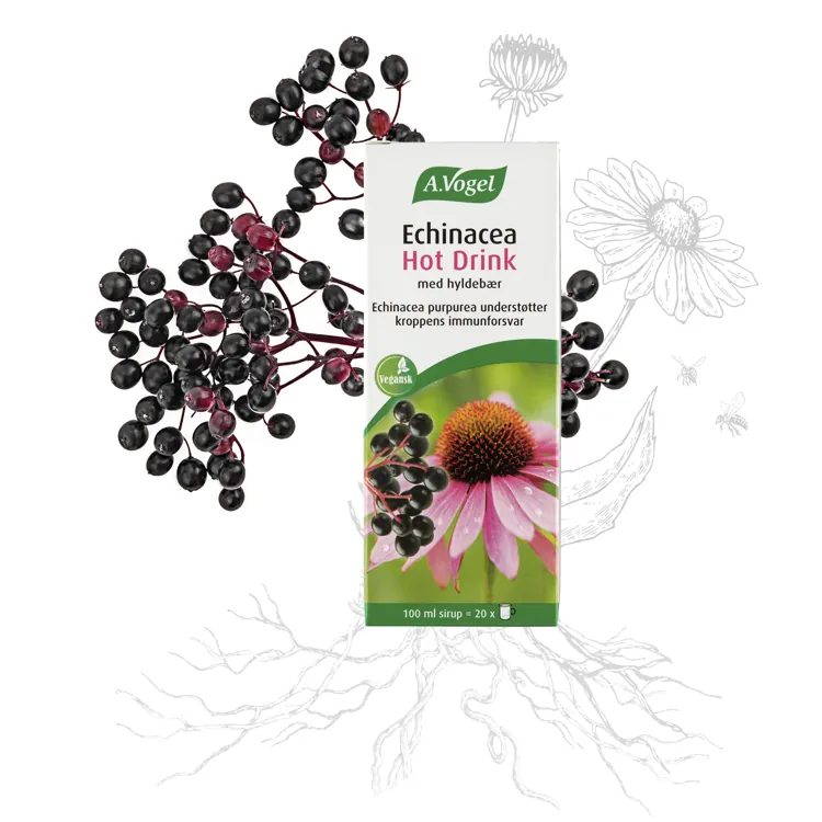 Echinacea Hot Drink m. Hyldebær vegansk | 100 ml | A. Vogel