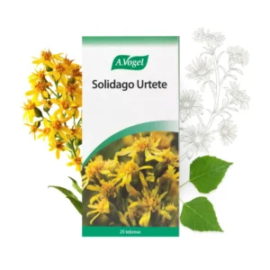 Solidago Urte | 25 breve | A. Vogel