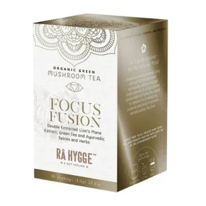 Focus Fusion - Lion's Mane Green Tea Ø | 16 br | Råhygge
