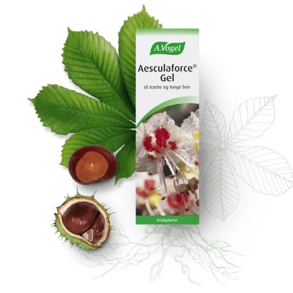 Aesculaforce Gel til trætte og tunge ben | 100 g | A. Vogel