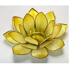 Lotus yellow Chakra stage | Fønix