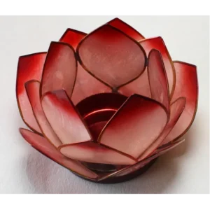 Lotus rød | Fønix