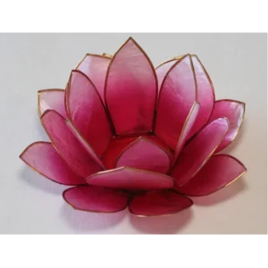 Lotus pink | Fønix