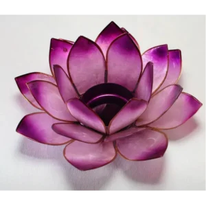 Lotus chakra violet | Fønix