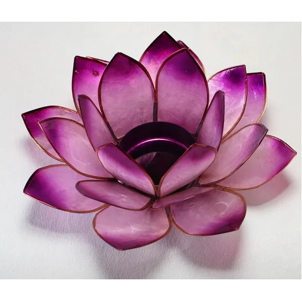 Lotus chakra violet | Fønix