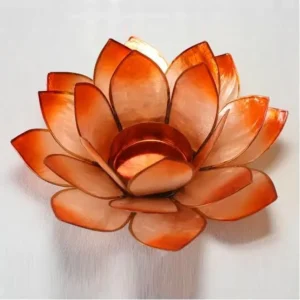 Lotus wood opal dream | Fønix