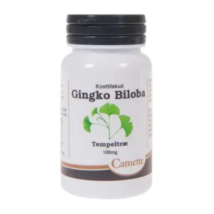 Ginkgo biloba 100 mg | 90 tab | Camette