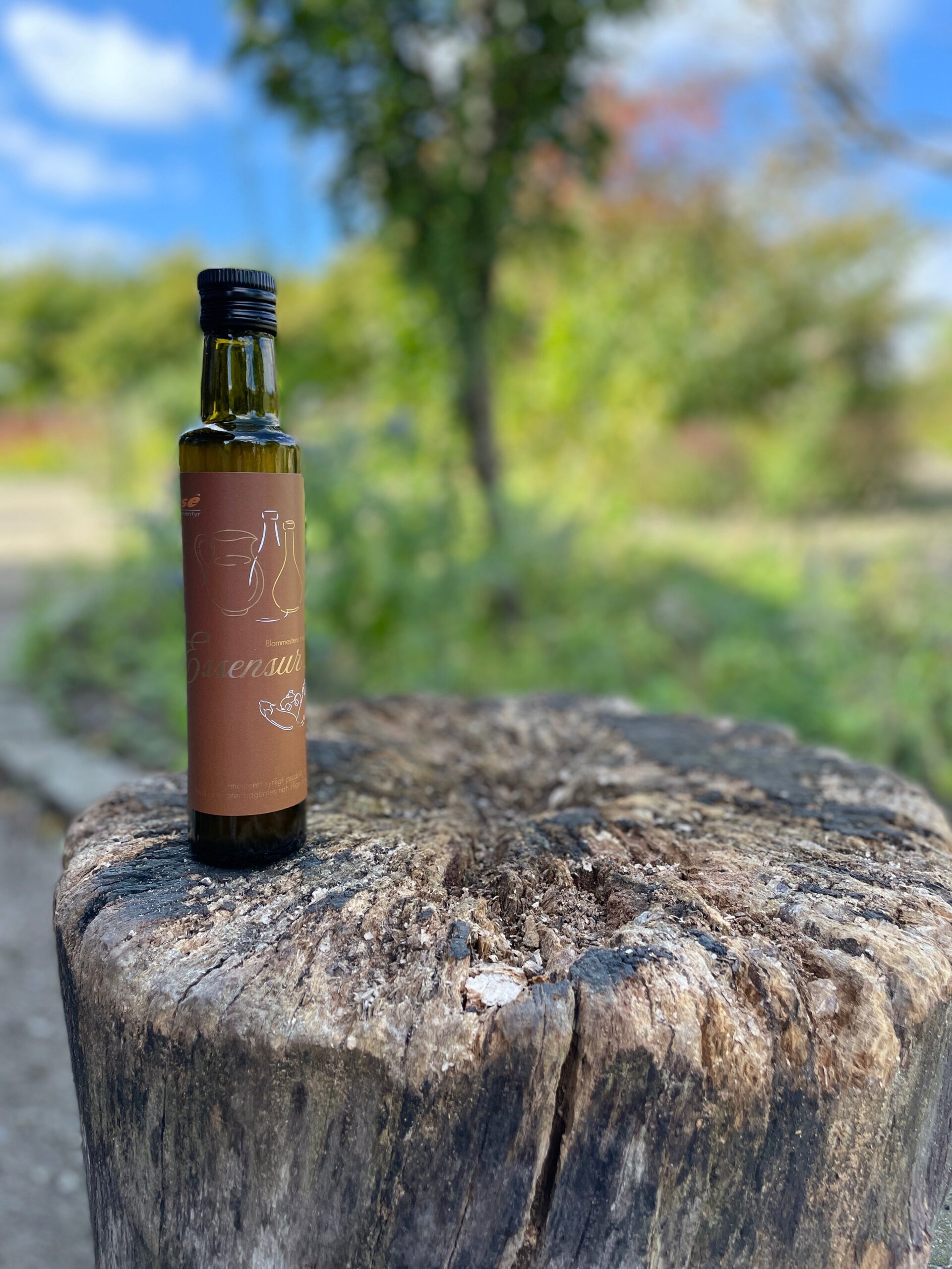 Smagseventyr Blommestens Mønt Essensur m. blomme og stikkelsbær | 250 ml