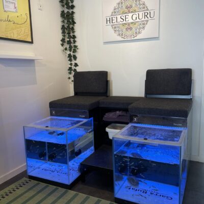 Vores fiskespa i Helse Guru Horsens