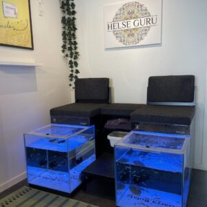 Vores fiskespa i Helse Guru Horsens